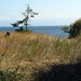 Eric Becher Photo 22
