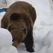 Kenny Land Photo 28