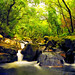 Misty Long Photo 41