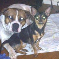 Larry Fultz Photo 1