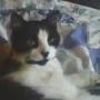 Shelly Graham Photo 27