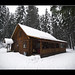 Traci Winter Photo 21