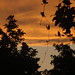 Dawn Keane Photo 33