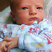 Joseph Greenlee Photo 29