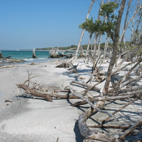 June Walker Photo 16