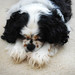 Ollie Bailey Photo 31