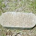 Walter Wilson Photo 47