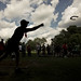 David Burba Photo 21