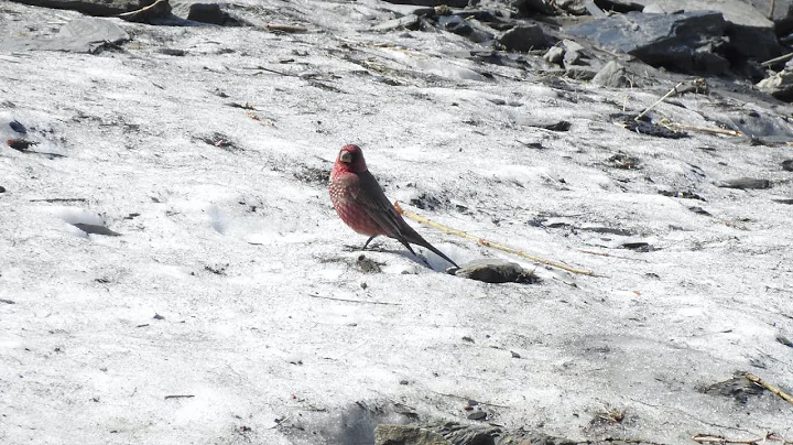 Marianne Walsh Photo 25