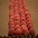 Michael Wisor Photo 21