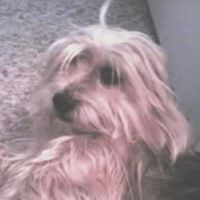 Linda Jacoby Photo 7
