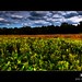 Dayton Meadows Photo 12