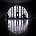 Andy Ellis Photo 46