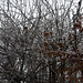 Kerry Frost Photo 28