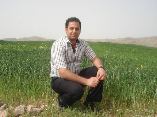 Reza Ahmadi Photo 11