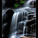 Sylvia Waters Photo 19