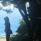 Elaine Chen Photo 13