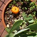 Janice Vogt Photo 32