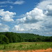 Georgia Pike Photo 23