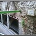 Joan Pastore Photo 25