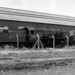 Barry Alston Photo 15