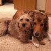 Gerry Fitzgerald Photo 35