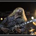 John Sykes Photo 52