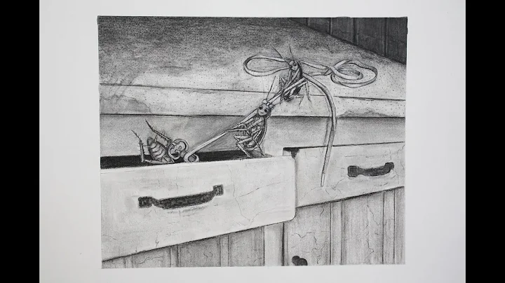 Andrea Olmstead Photo 13