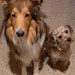 Gerry Fitzgerald Photo 36