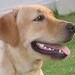 Milo Brown Photo 26