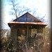 Sam Livingston Photo 45