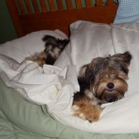 Bonita Simpson Photo 1