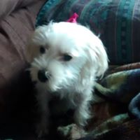 Joyce Roark Photo 2