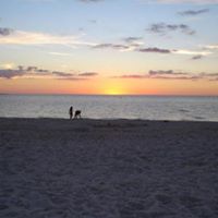 Allison Garvey Photo 1