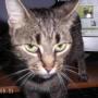 Susan Houser Photo 23