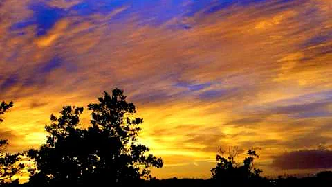 Scott Jessee Photo 21