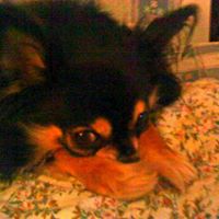 Connie Clayton Photo 6