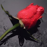 Al Valentin Photo 2