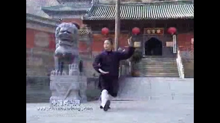 Yuan Li Photo 39