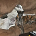 Michael Reinert Photo 44