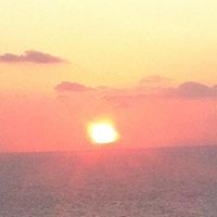 Dawn Radford Photo 8
