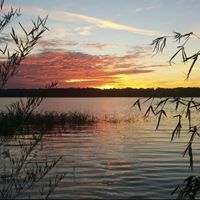 Tammy Singletary Photo 4