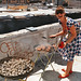 Rachel Devlin Photo 41