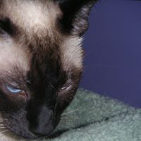 Alice Frederick Photo 4