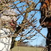 Teresa Hedges Photo 20