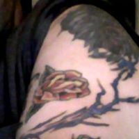 Jason Staley Photo 6