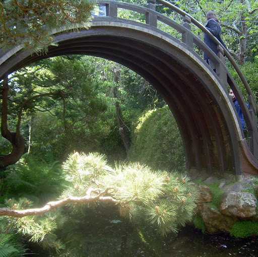 Barbara Ruffner Photo 5