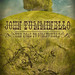 John Tumminello Photo 23