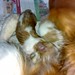 Jessica Born Photo 33