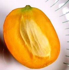 Julie Mango Photo 11